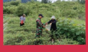 GridArt_20240106_170627523