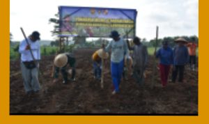 GridArt_20240106_225422053