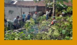 GridArt_20240107_131514208