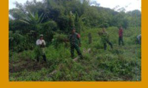 GridArt_20240107_185325178