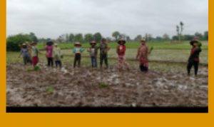 GridArt_20240108_143503833