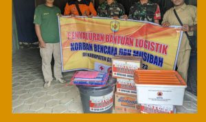 GridArt_20240108_144647074