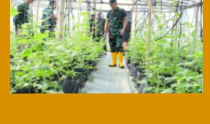 GridArt_20240108_151942328