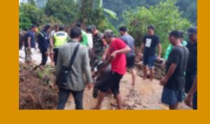 GridArt_20240108_180511627