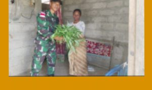 GridArt_20240109_131604784