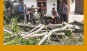 GridArt_20240110_122429306