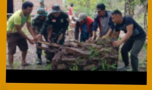 GridArt_20240114_090542791