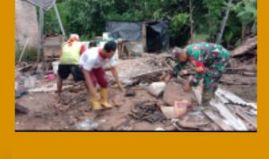 GridArt_20240114_091730457