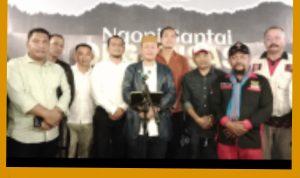 GridArt_20240201_232814835