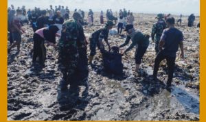 GridArt_20240218_131236517