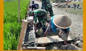 GridArt_20240221_110423997