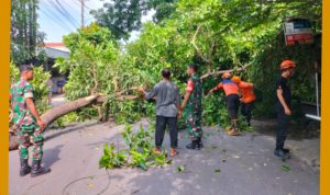 GridArt_20240223_151144439