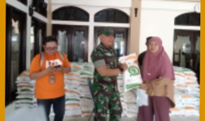 GridArt_20240223_193133931