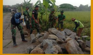 GridArt_20240228_165904850