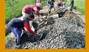 GridArt_20240229_113008641