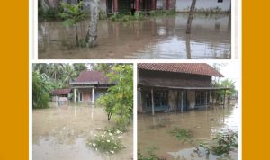 GridArt_20240301_152124269