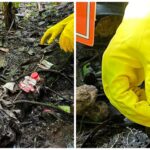 GridArt_20240607_123124049