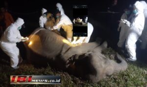 GridArt_20240831_015015398