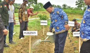 FB_IMG_1741033609672