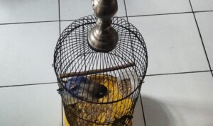 IMG-20261019-WA0000